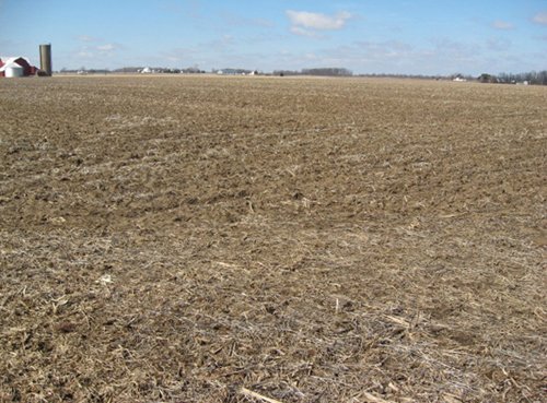 Property photo 23 - 127 Acres Offered in 4 Tracts